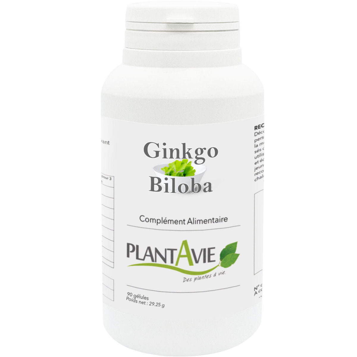 Ginkgo Biloba